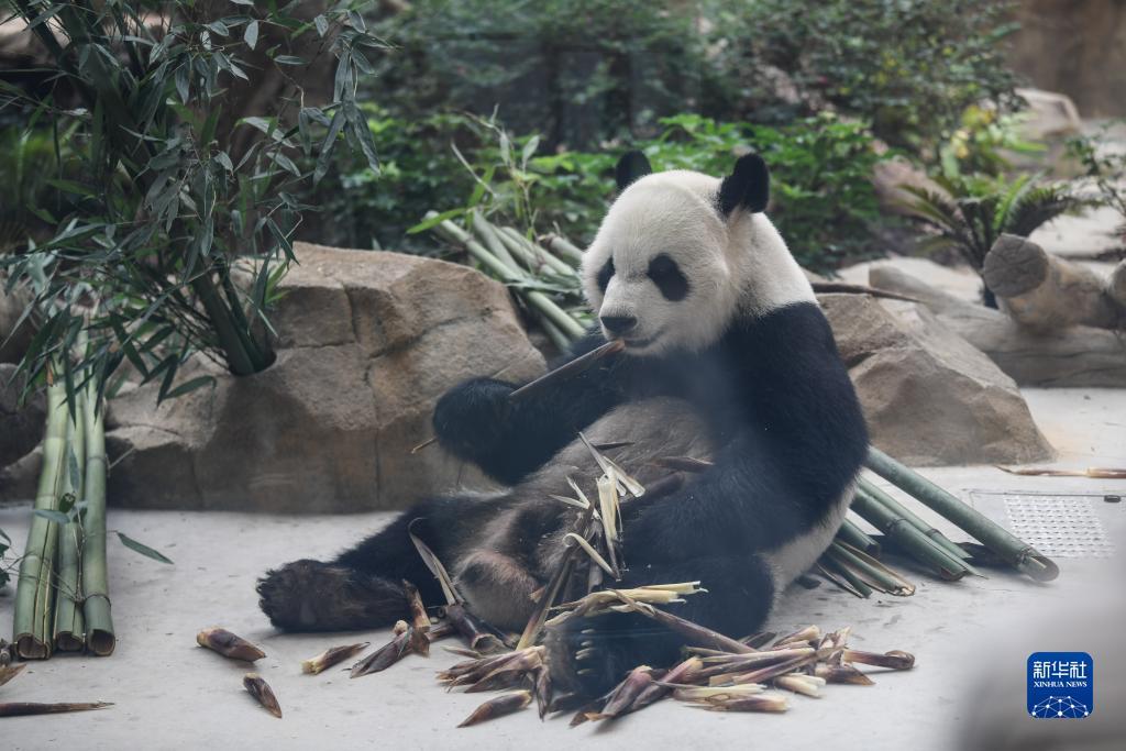 威尼斯人游戏